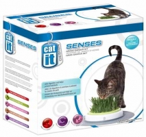 CAT IT SENSES GRASS GARDEN