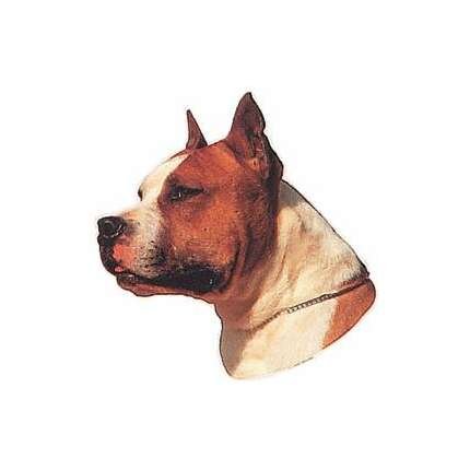 PEGATINA DEL AMERICAN STAFFORSHIRE TERRIER II*