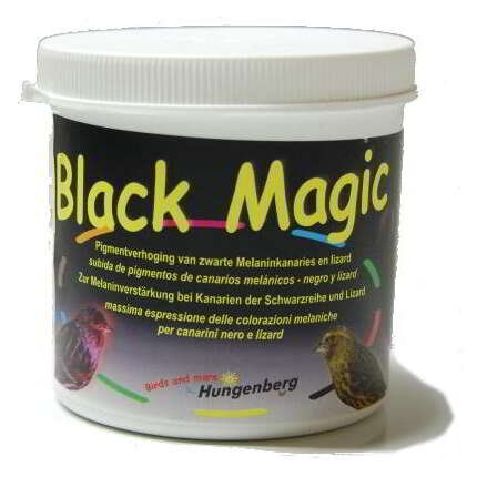 MAGIA NEGRA