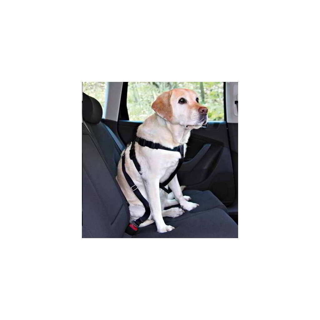 CINTURÓN DE SEGURIDAD PARA PERROS DE GIRA - Imagen 1