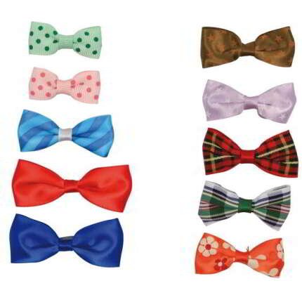 GANCHOS PARA YORKSHIRE TERRIER