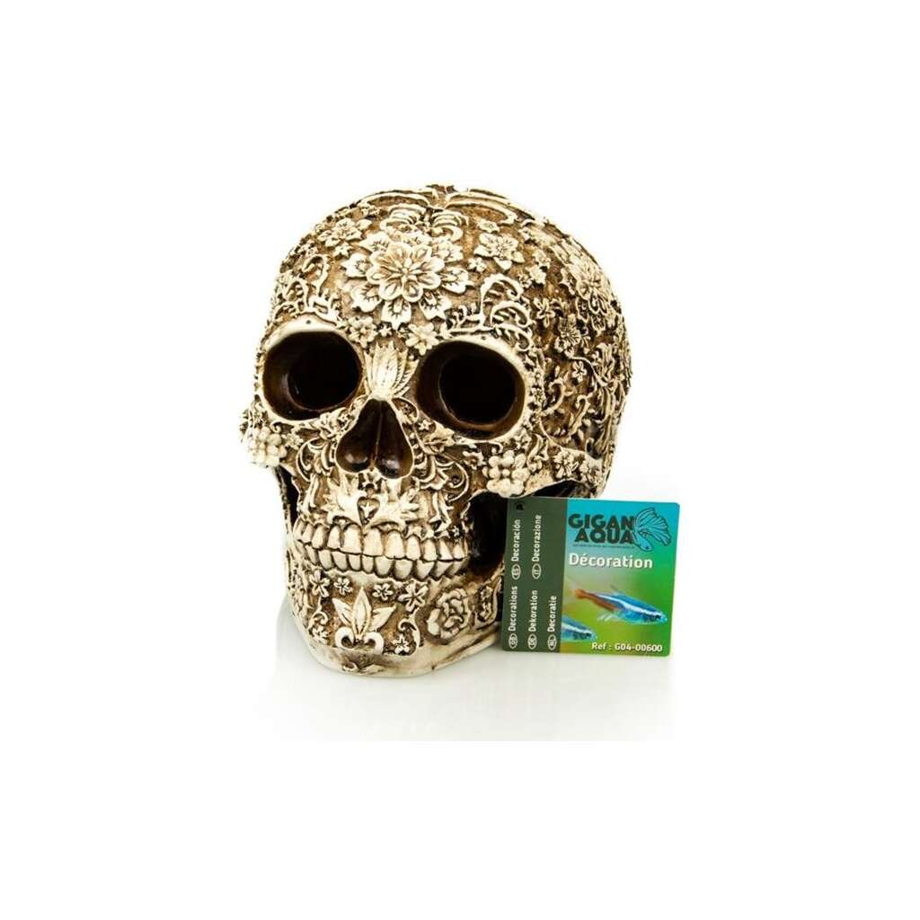 CALAVERA GIGANAQUA 18 CM - Imagen 1