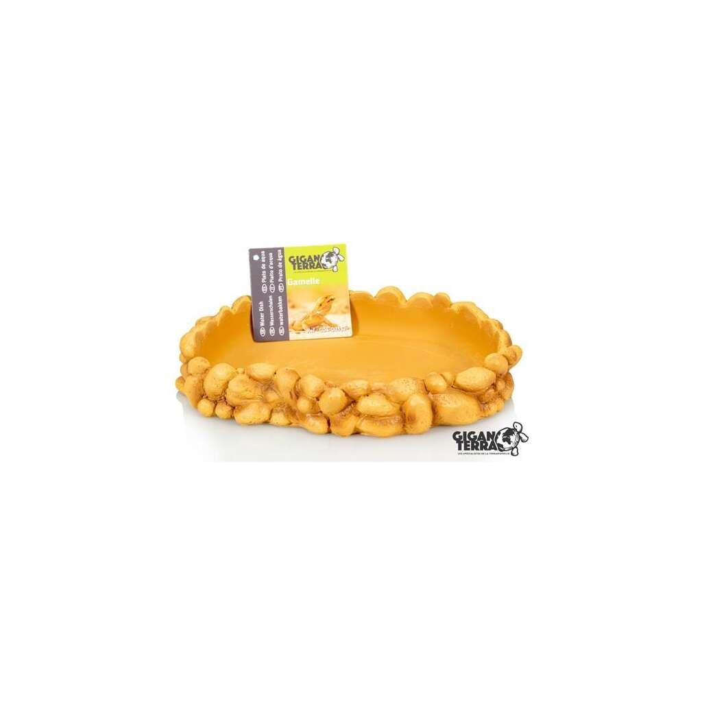 GALLETA DE AGUA DE ROCA DE GIGANTERRA - Imagen 1