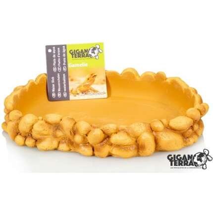 GALLETA DE AGUA DE ROCA DE GIGANTERRA