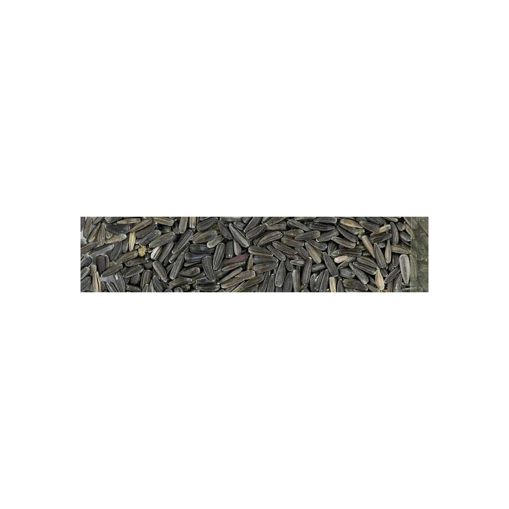 GIRASOL NEGRO MICRO 750 GR - Imagen 1