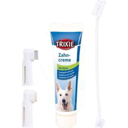 KIT DE HIGIENE DENTAL