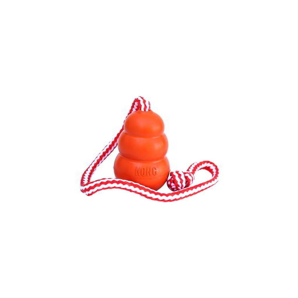 KONG AQUA - Imagen 1