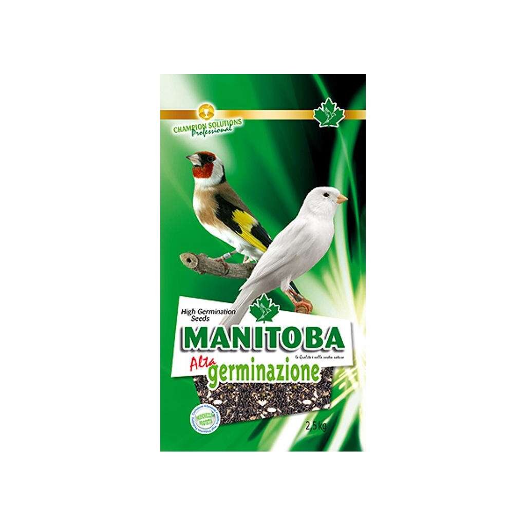 MANITOBA SEMENTES ALTA GERMINAÇÃO 2.5 KG - Imagen 1