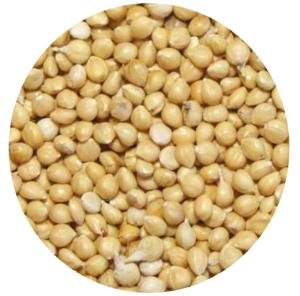 MAÍZ BLANCO PREMIUM 1 KG
