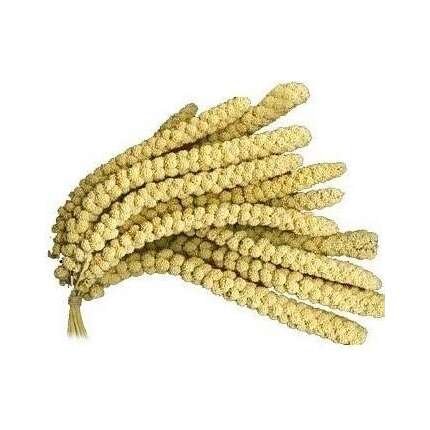 OREJAS DE MAÍZ MIJO 500 GR