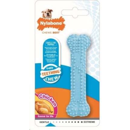 NYLABONE PUPPY DENTAL XS AZUL