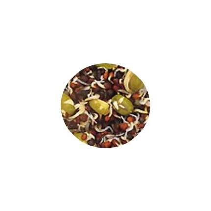 SEMILLAS GERMINABLES 1 KG