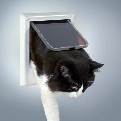 PUERTA MAGNÉTICA DE LUJO PARA GATO