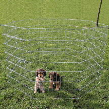 RECINTO PARA PERROS GALVANIZADO