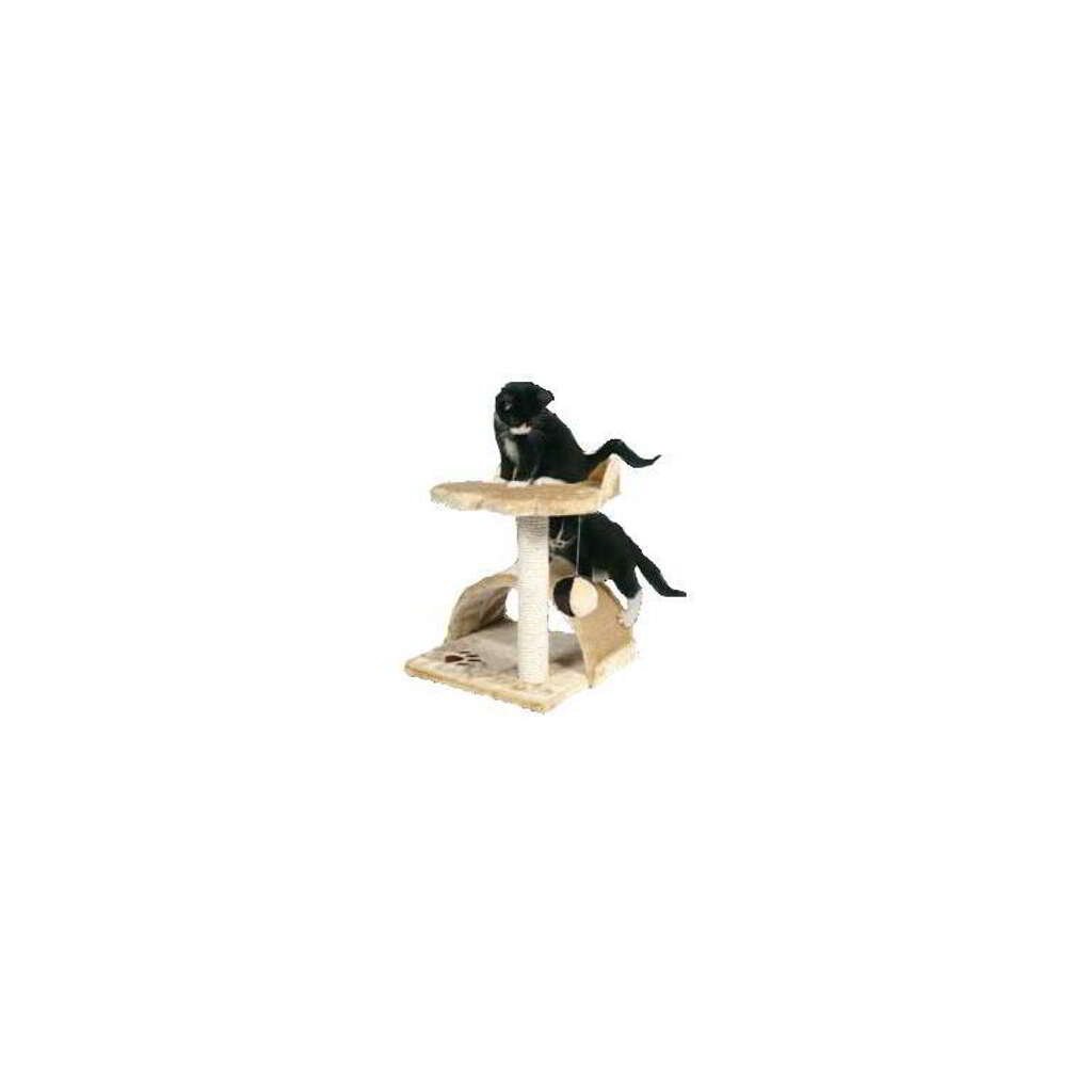 VICTORIA CLIMBER - Imagen 1