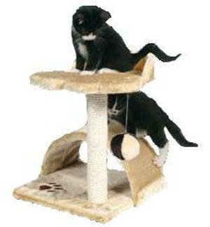 victoria-climber VICTORIA CLIMBER - Imagen 1